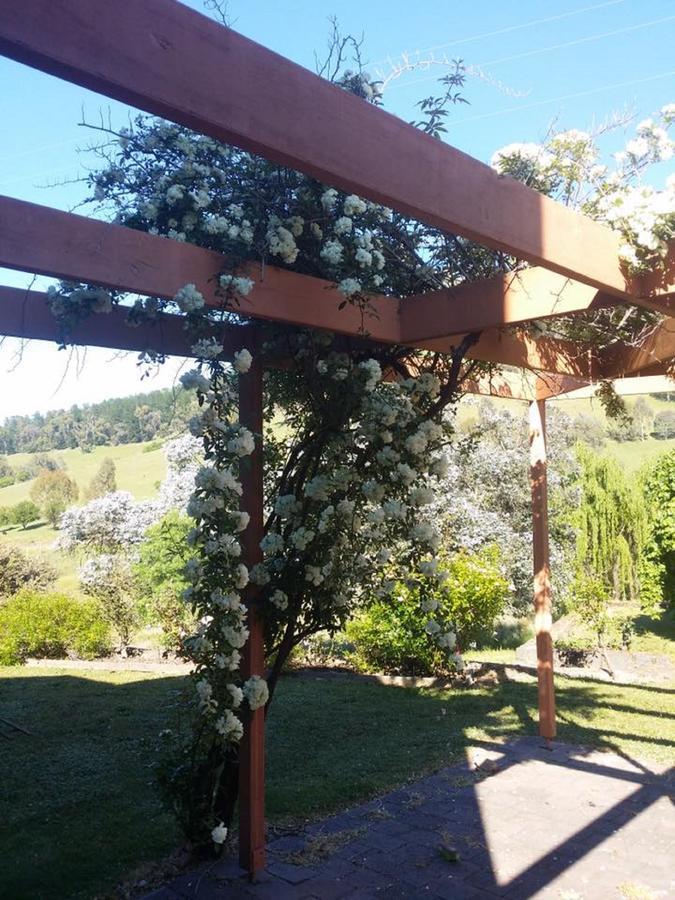 Bed and Breakfast Rosewhite House à Myrtleford Extérieur photo