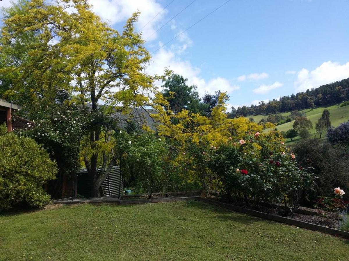Bed and Breakfast Rosewhite House à Myrtleford Extérieur photo