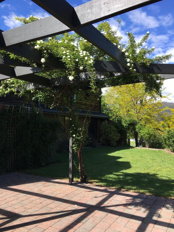 Bed and Breakfast Rosewhite House à Myrtleford Extérieur photo